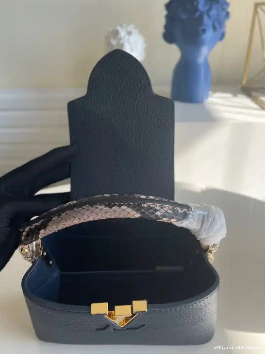 Official oldcobbler LOUIS VUITTON CAPUCINES MINI 0626
